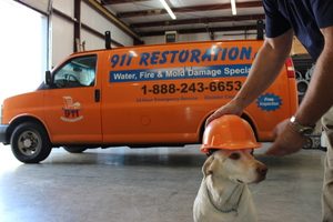 911 Restoration Pup On The Job